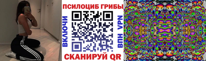 Галлюциногенные грибы Cubensis  Нижний Ломов 